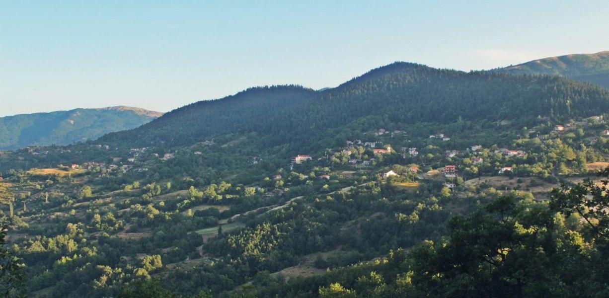 Отель Omilaia Gardiki Экстерьер фото