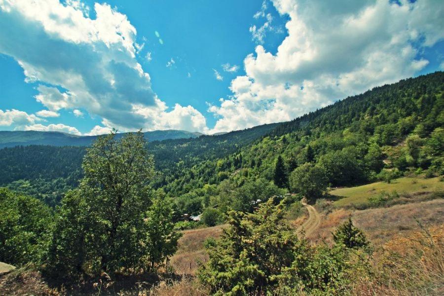 Отель Omilaia Gardiki Экстерьер фото