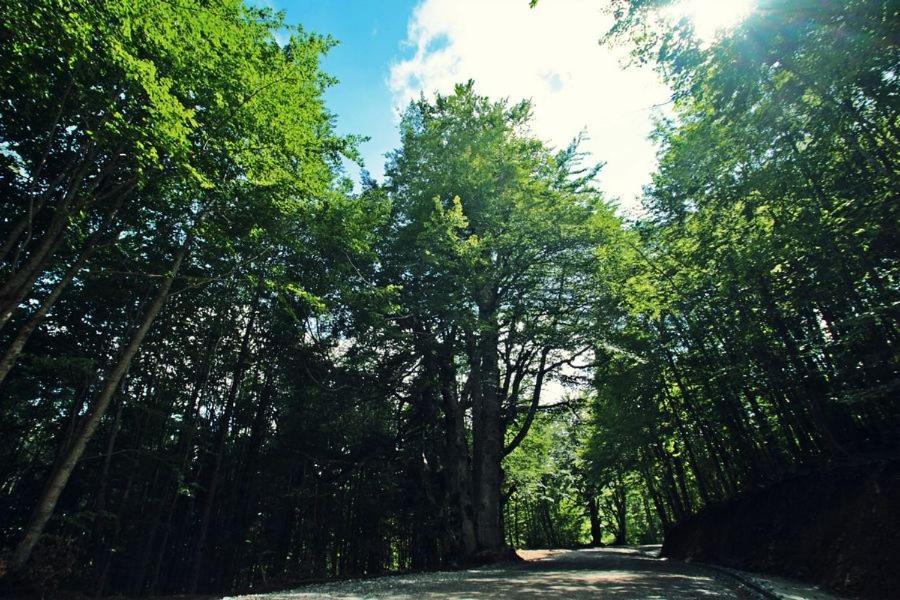 Отель Omilaia Gardiki Экстерьер фото